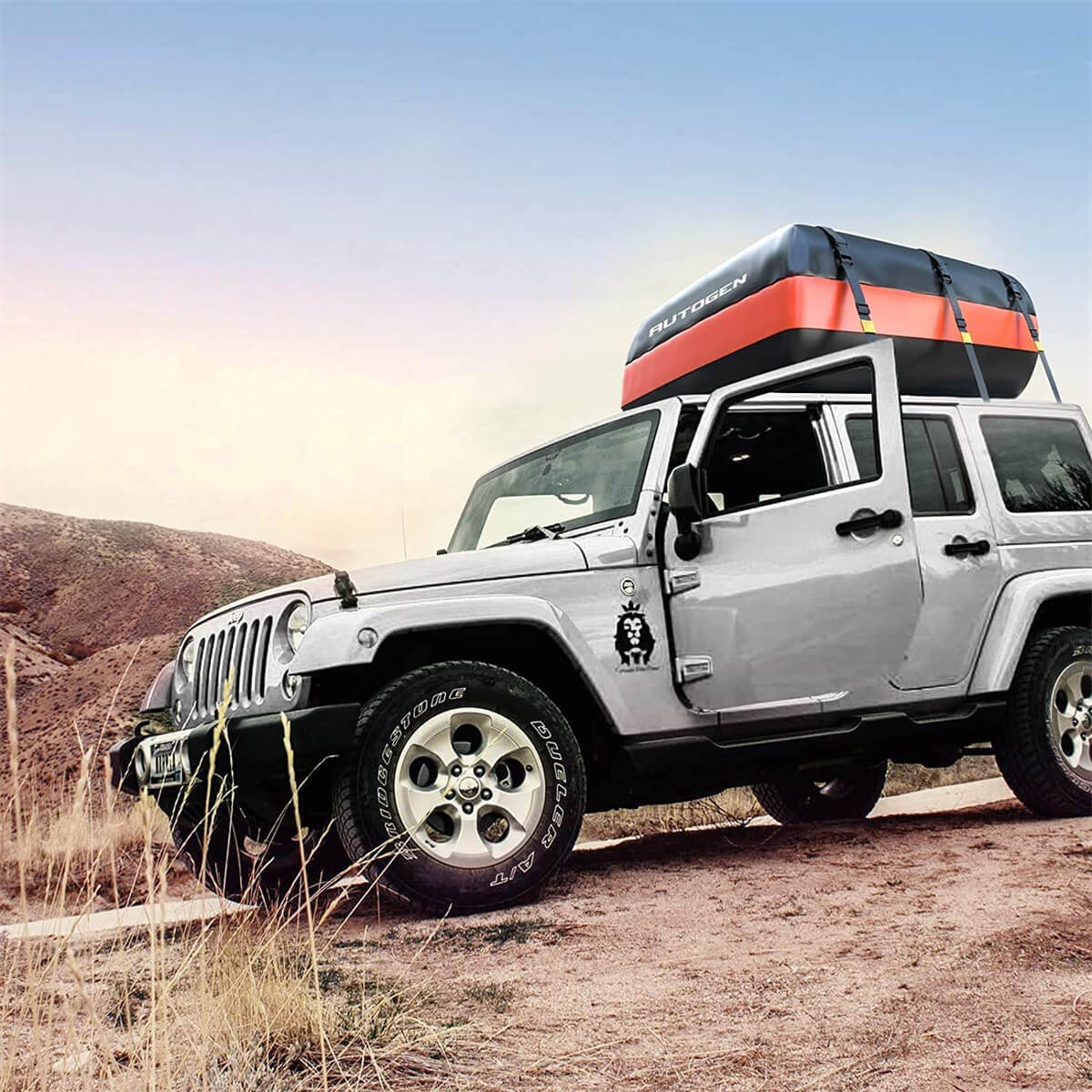 best car roof cargo carriers